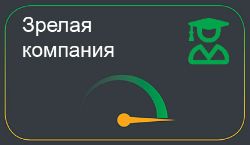 Зрелая компания