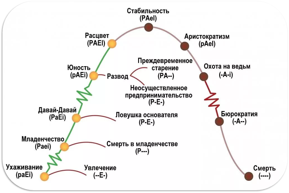 Стадии Адисеса