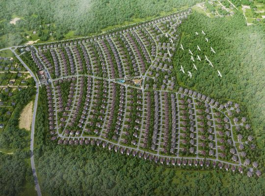 Вид сверху на Максимово парк