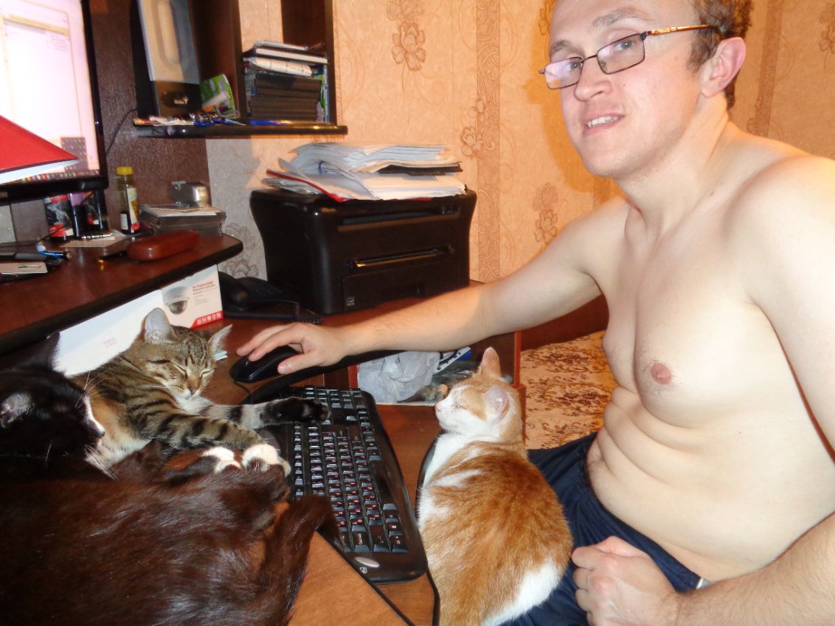 Коты Степа, Федька и Барсик. г. Сосенский, 2020 год.