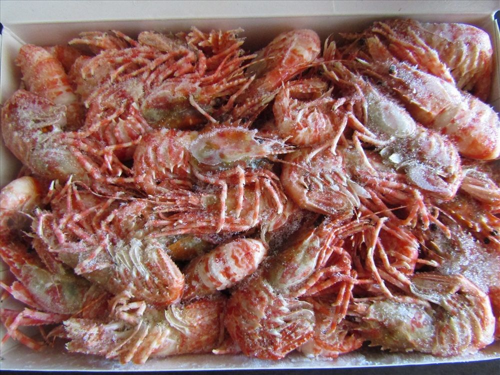 креветка "Медвежонок"