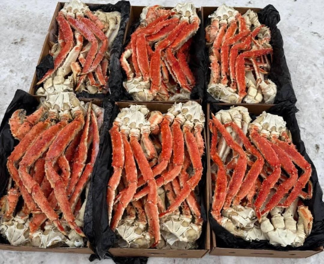 только свежий камчатский краб