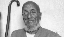Image description