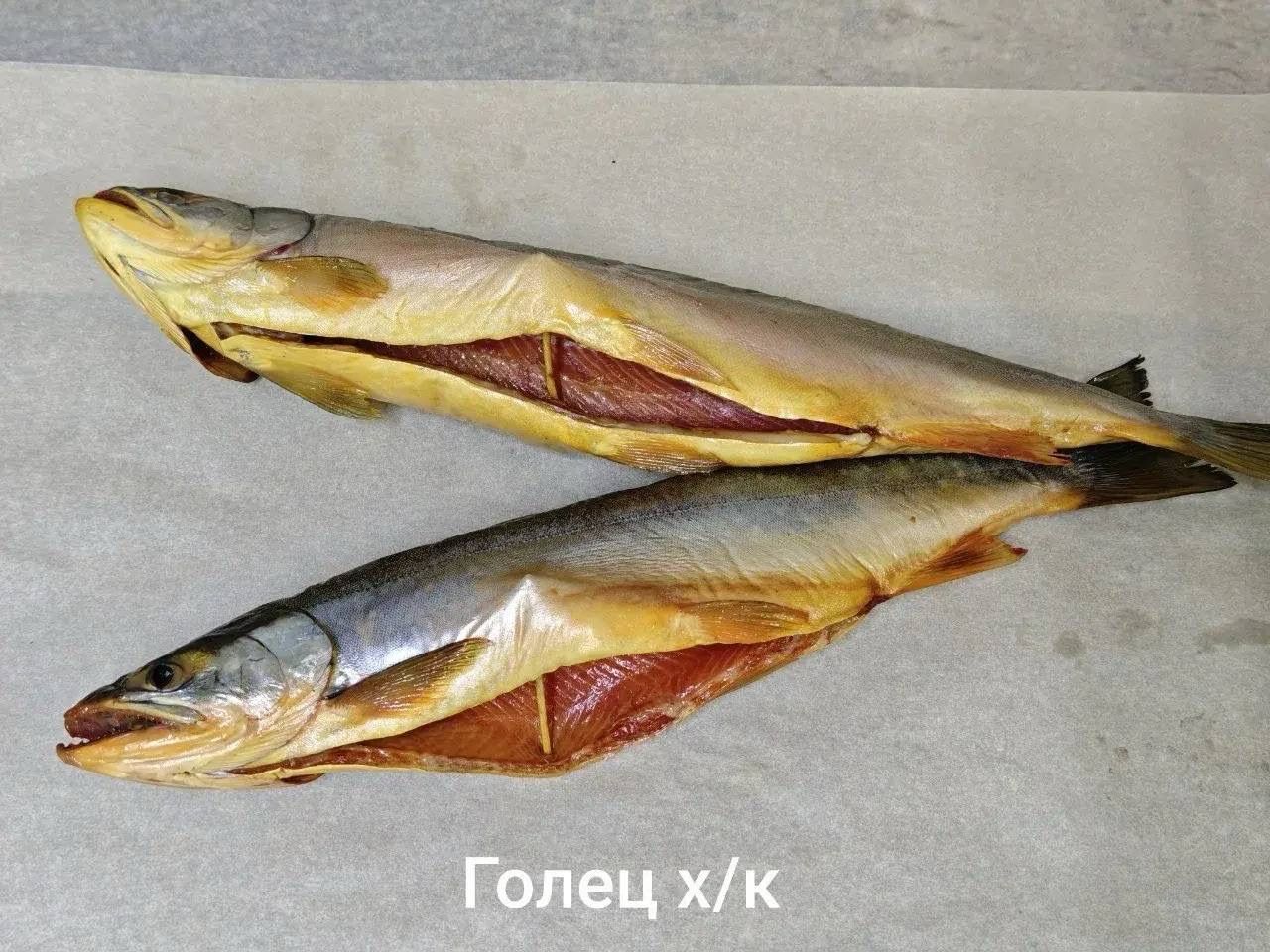 Голец х/к