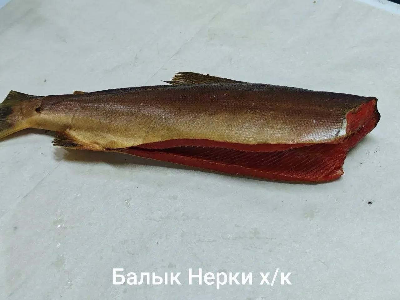 Балык нерки хк
