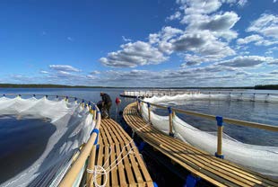 Производство оборудования