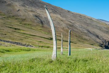 туры на чукотку