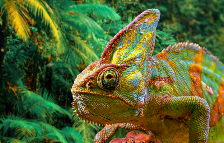 туры на Мадагаскар