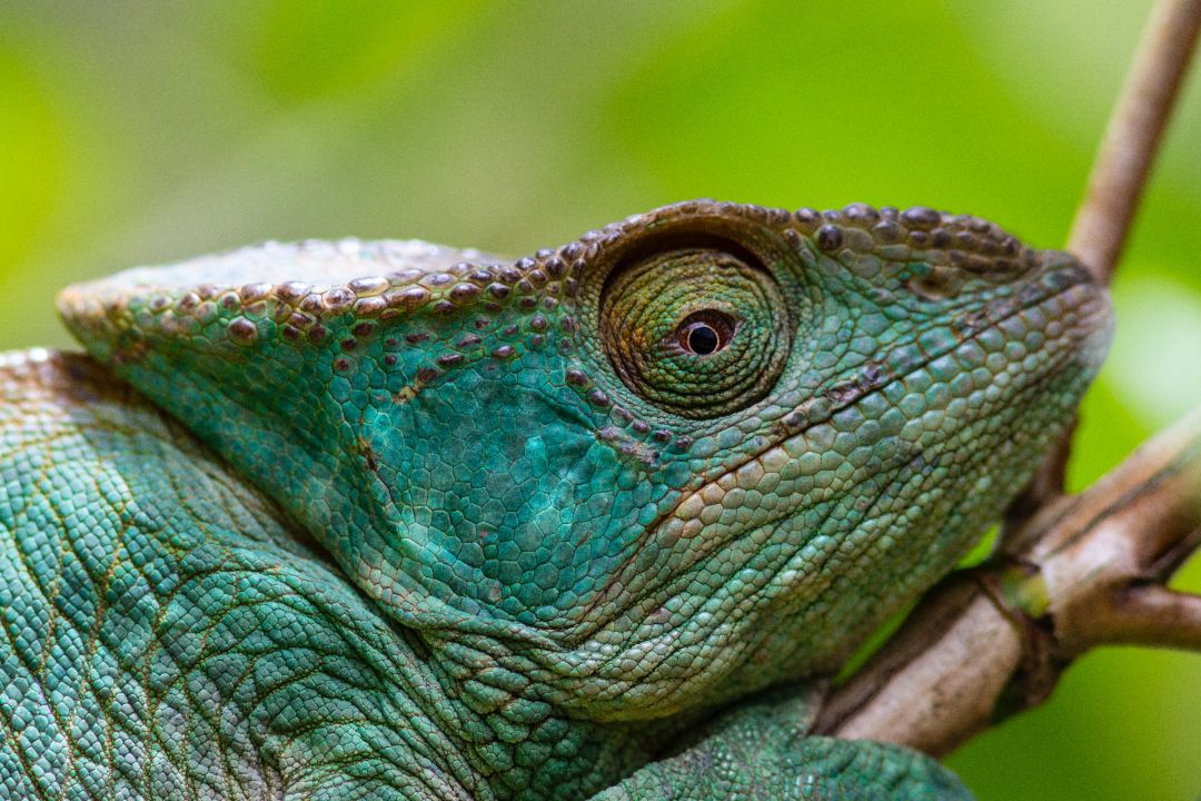 туры на мадагаскар