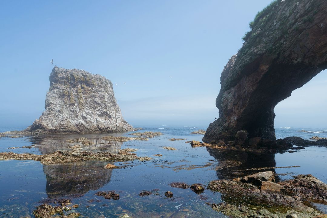 туры на сахалин