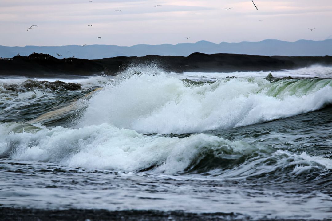 туры в бухту провидения