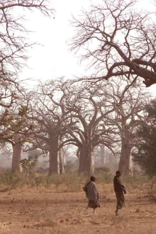 туры в южный судан