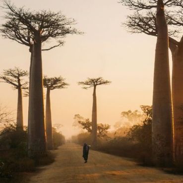 тур на Сокотру