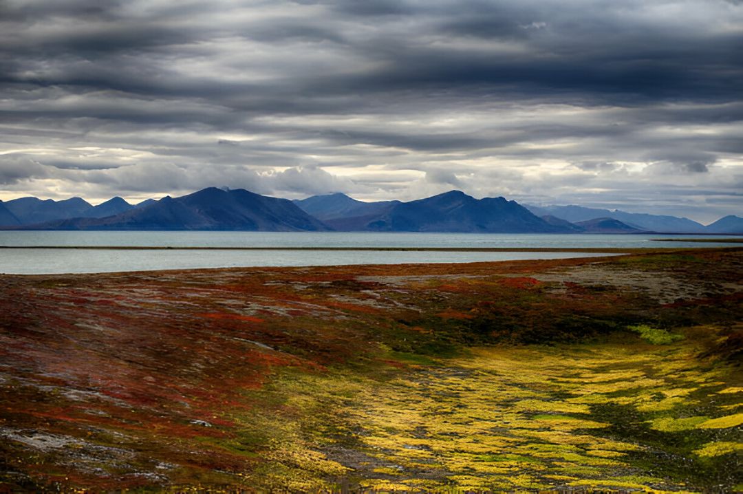 туры на чукотку