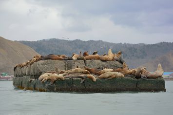 туры на сахалин