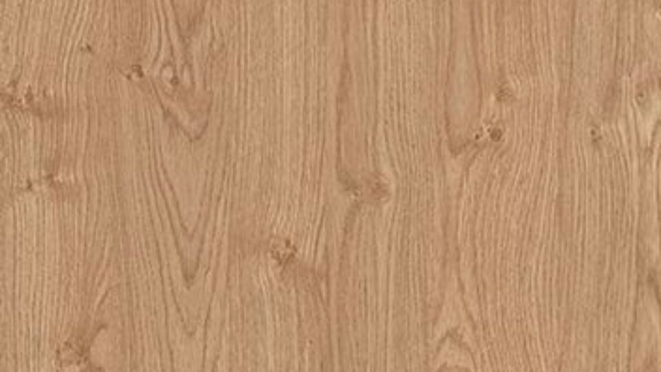 4665 Дуб светлый