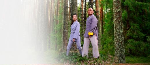Онлайн-курс по цигун для начинающих. 1 уровень.