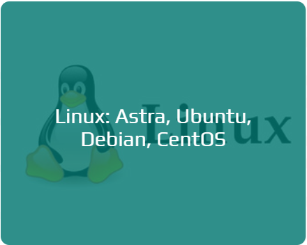 Обслуживание инфраструктуры на базе операционных систем семейства Linux таких как Astra Linux, Ubuntu Linux, Debian Linux и CentOS