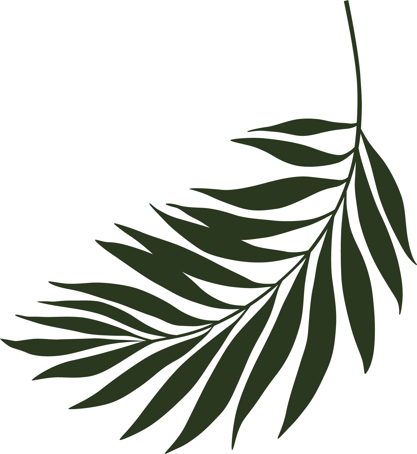 Palm Right