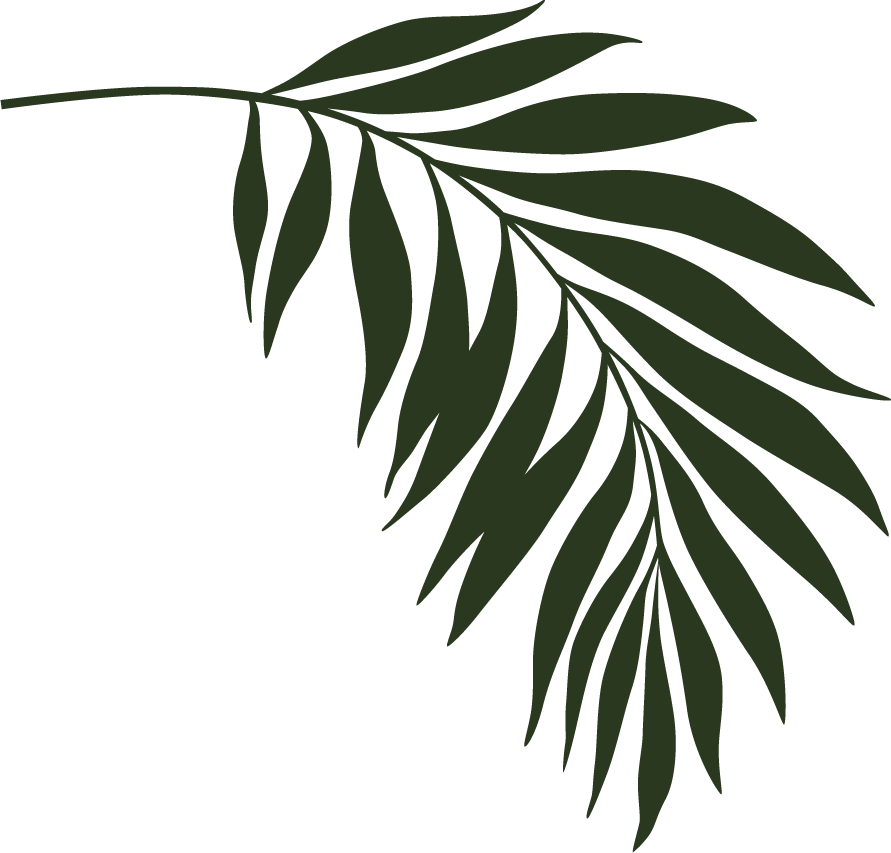 palm-left