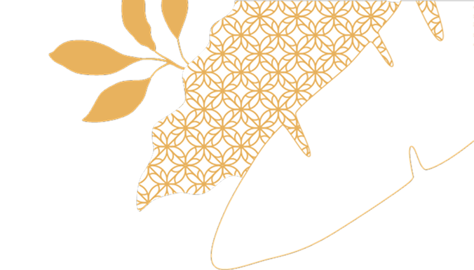 nomera-img-conteiner