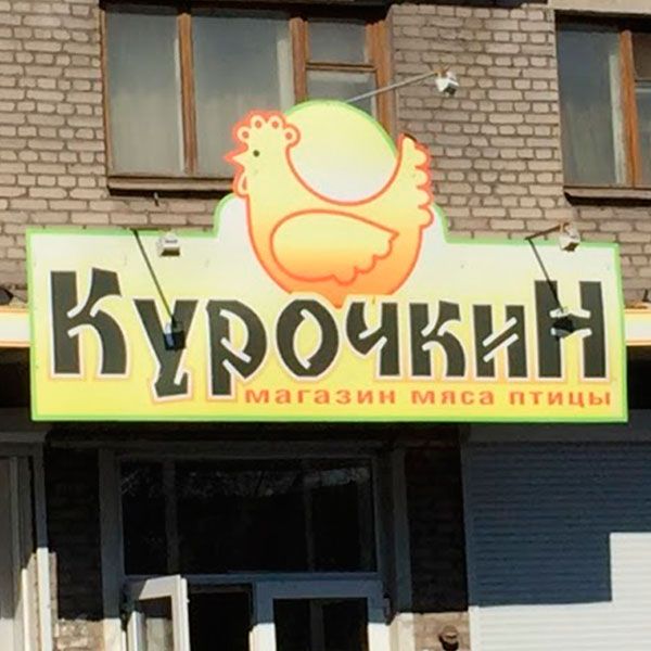 Курочкин