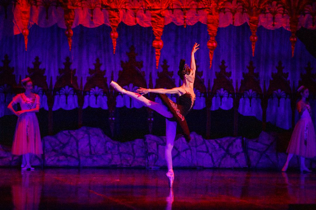 Линолеум танцевальный DanceDuo