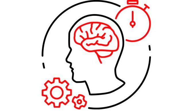 Развитие памяти, внимания и эффективная работа с информацией