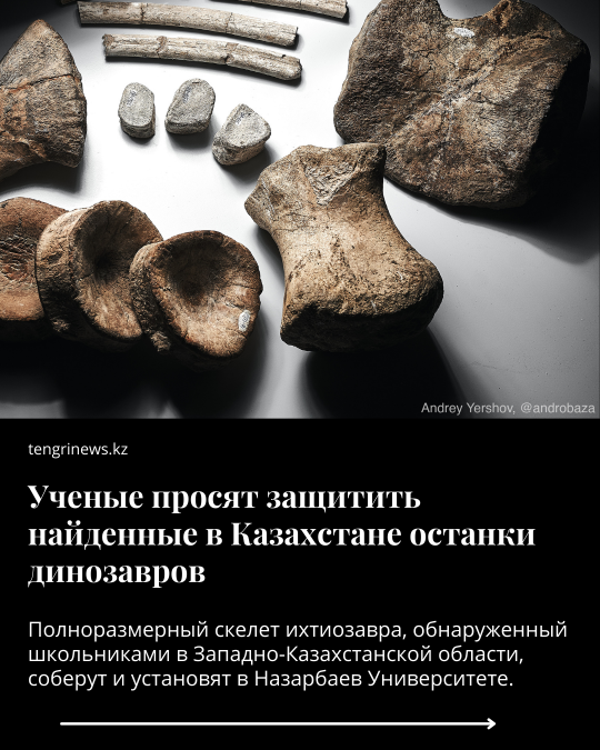 Нажмите, чтобы отредактировать изображение
