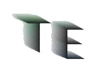 ООО "ТЕНИ"