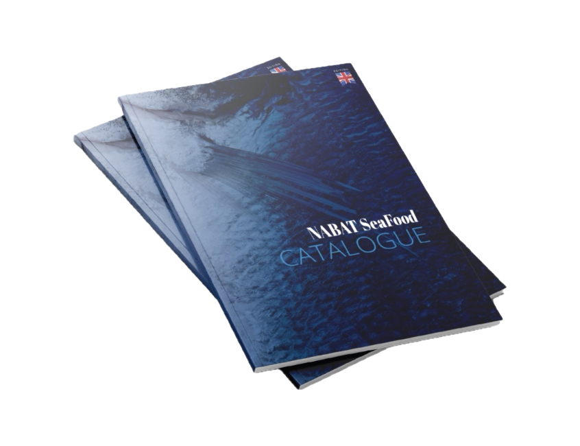 DISCOVER OUR PRODUCTS