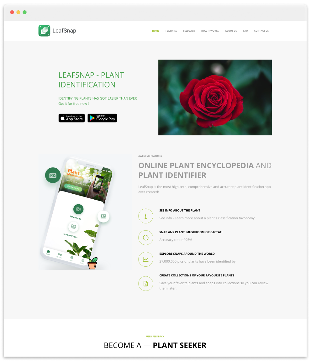 Лендинг в конструкторе