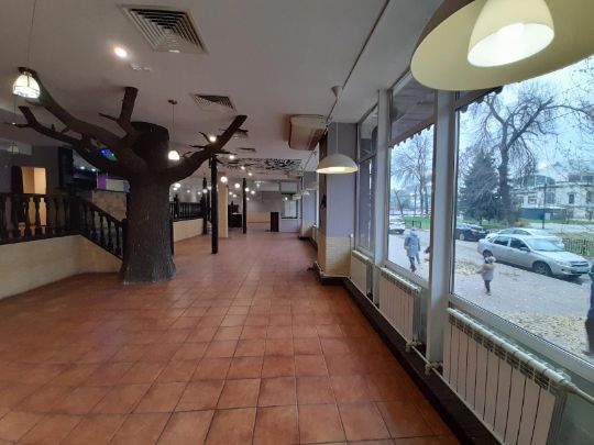 Ресторан в центре Саратова