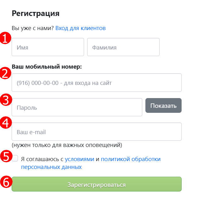 заполнение данных для регистрации в sms.ru