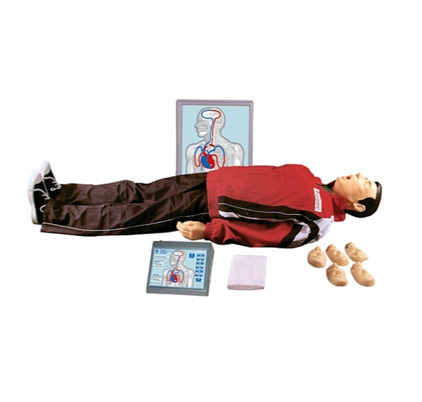 тренажер реанимации слр