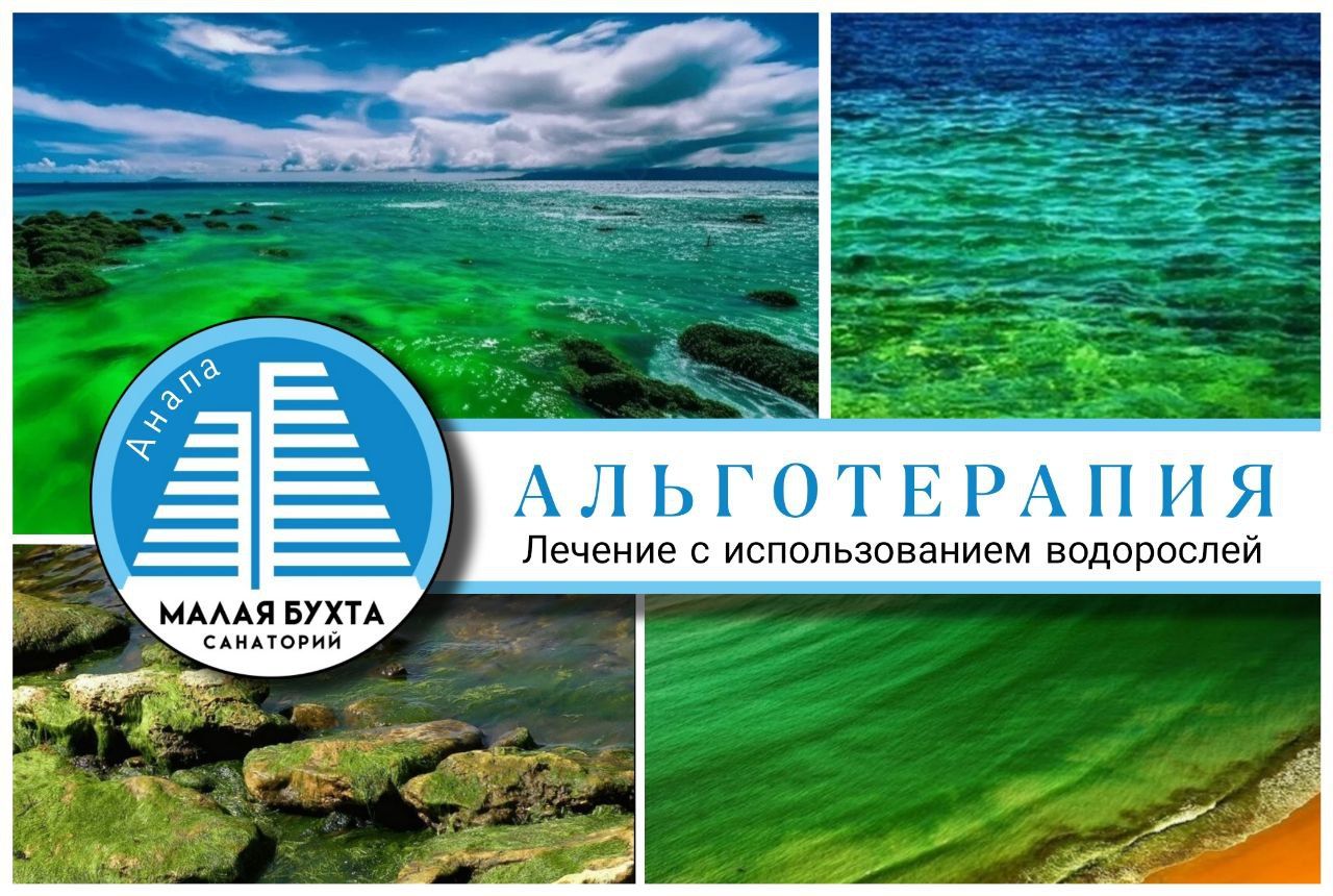 Альготерапия - лечение водорослями
