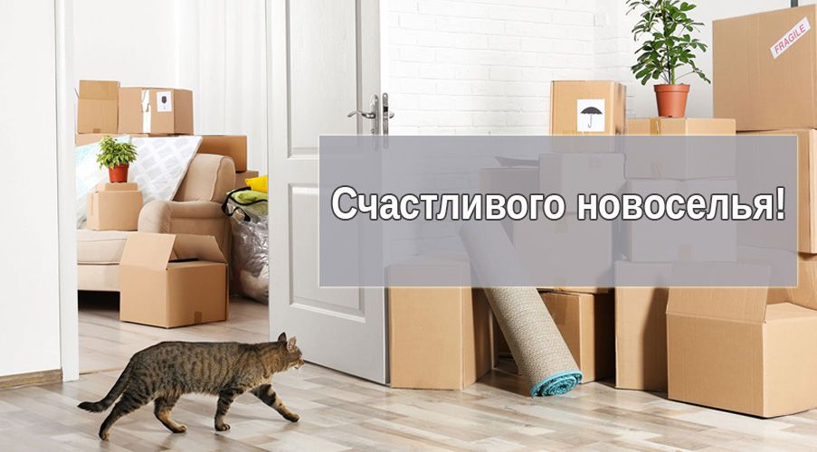 7 полезных советов покупателю квартиры