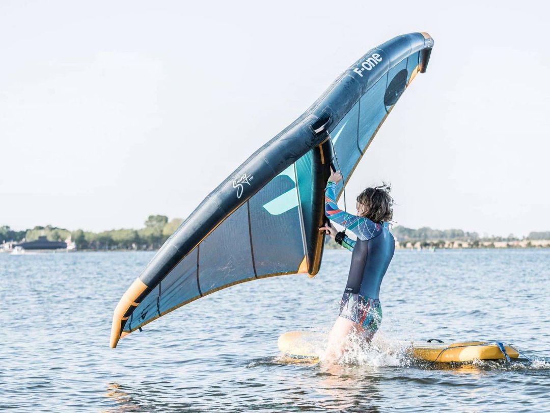 Винг школа Ростов