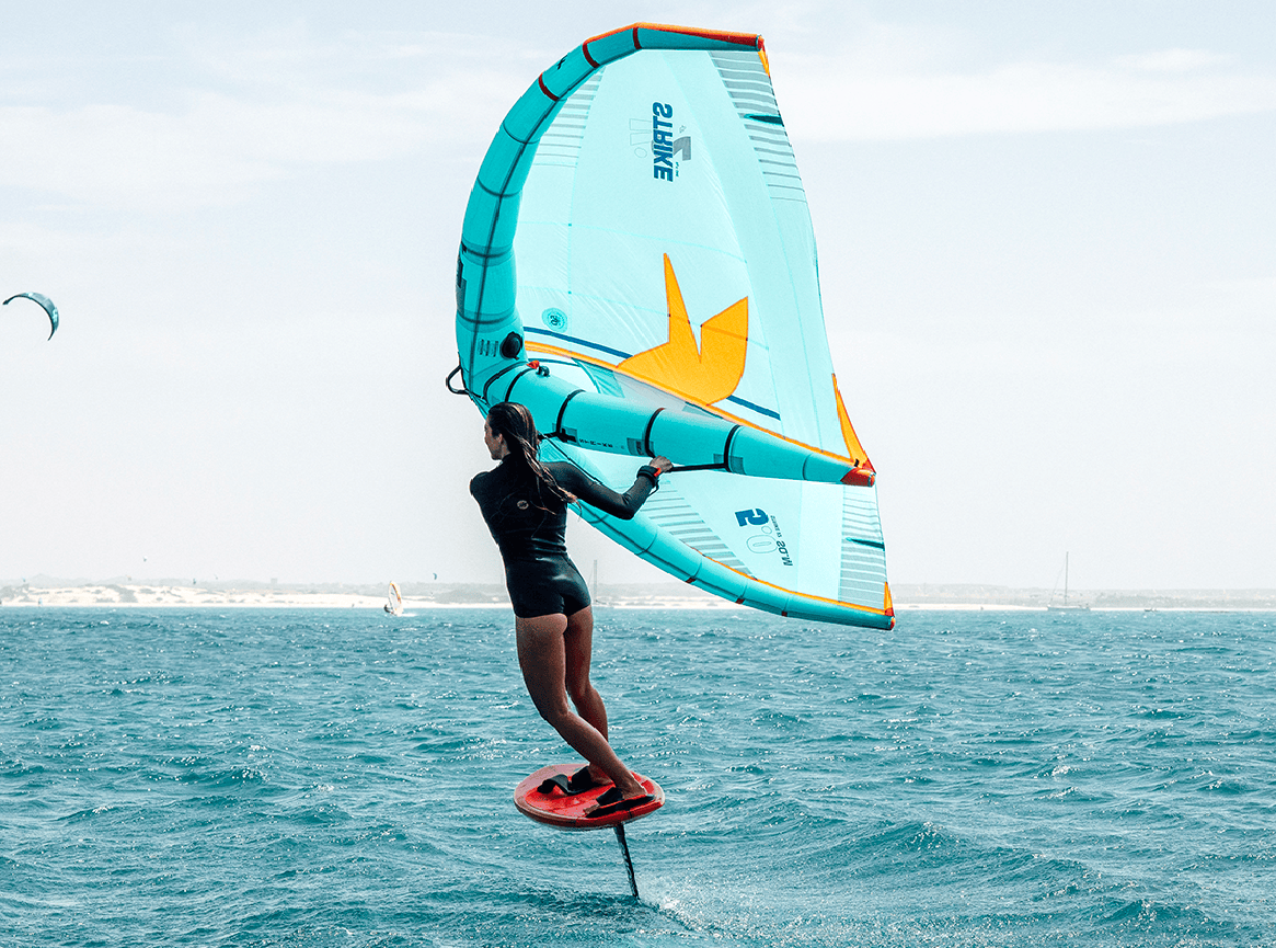 Винг школа Ростов