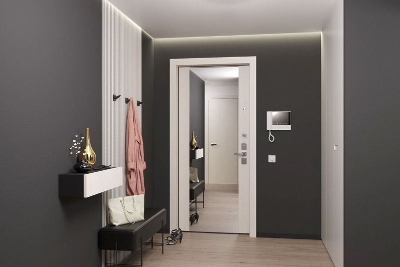 Входные двери с зеркалом