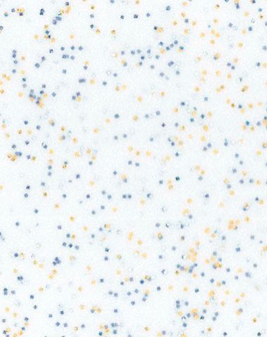 AX 241 colin getalit столешница