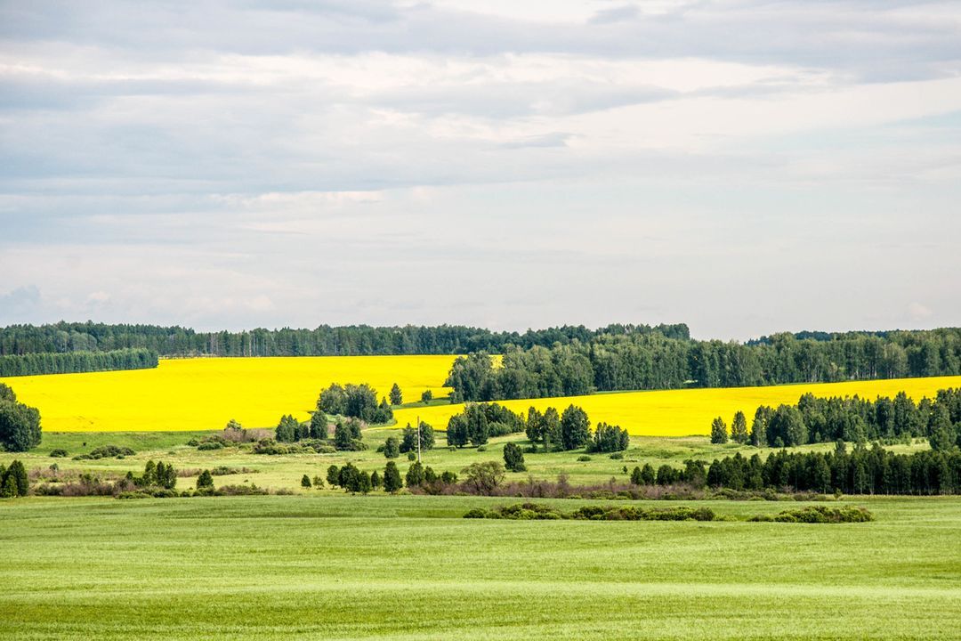 Курганская область фото