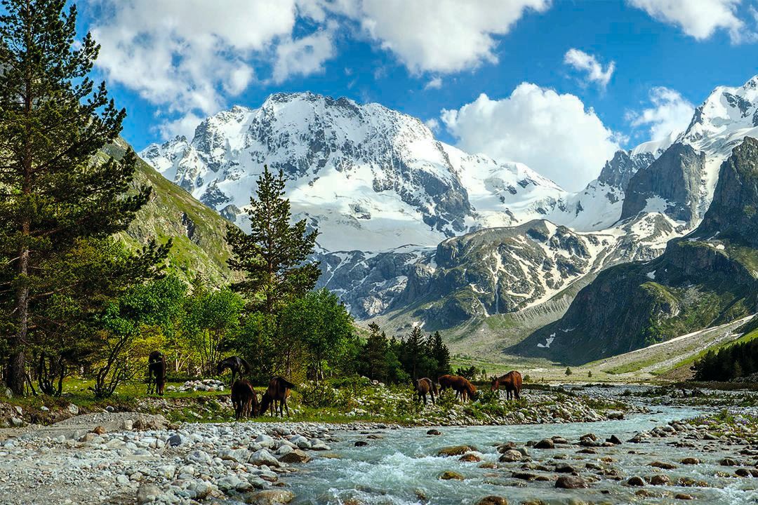 Кабардино балкария приэльбрусье фото