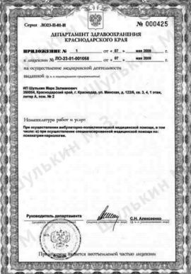 Приложении к лицензии Шулькин М.З.