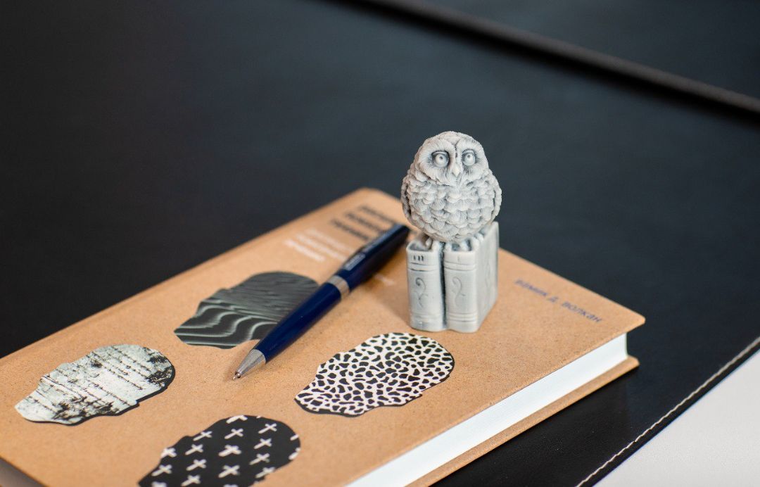 Кабинет Л.М. Шулькина - фото 1