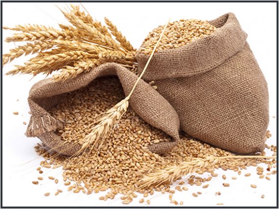 Фуражное зерно