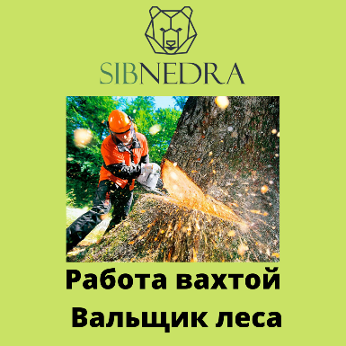 Название изображения