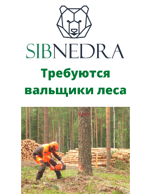 Название изображения