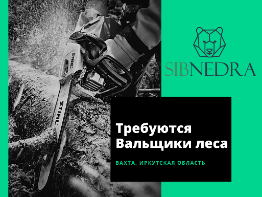 Название изображения