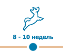 первая вакцинация щенят